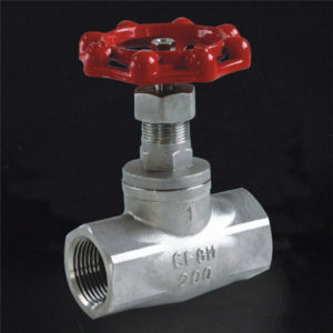 R428 Stainless Steel Globe Valve