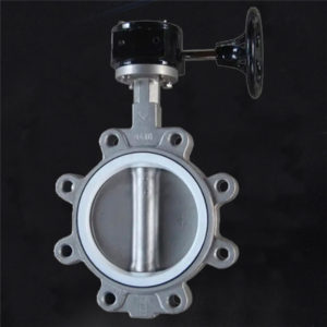 R461 Lug Type Butterfly Valve Stainless Steel