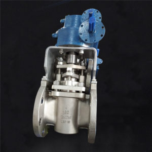 R806 Alloy 20 Flanged Plug valve